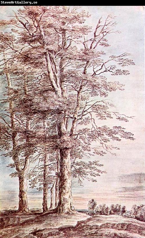 UDEN, Lucas van Landscape with Tall Trees dg